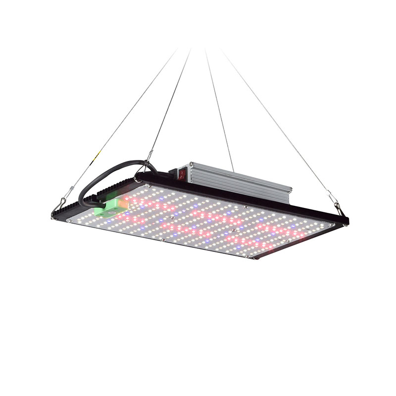 Led Grow Light - Lampu LED Quantum-Board untuk Pertumbuhan Tanaman,