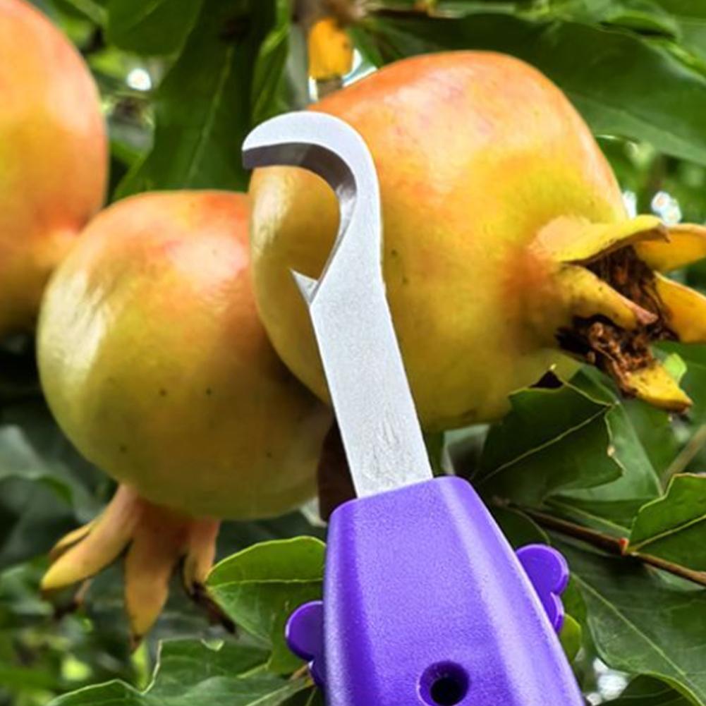 Gardening Tools Vegetables - Alat Pemangkasan dan Pemetik Buah Sayuran