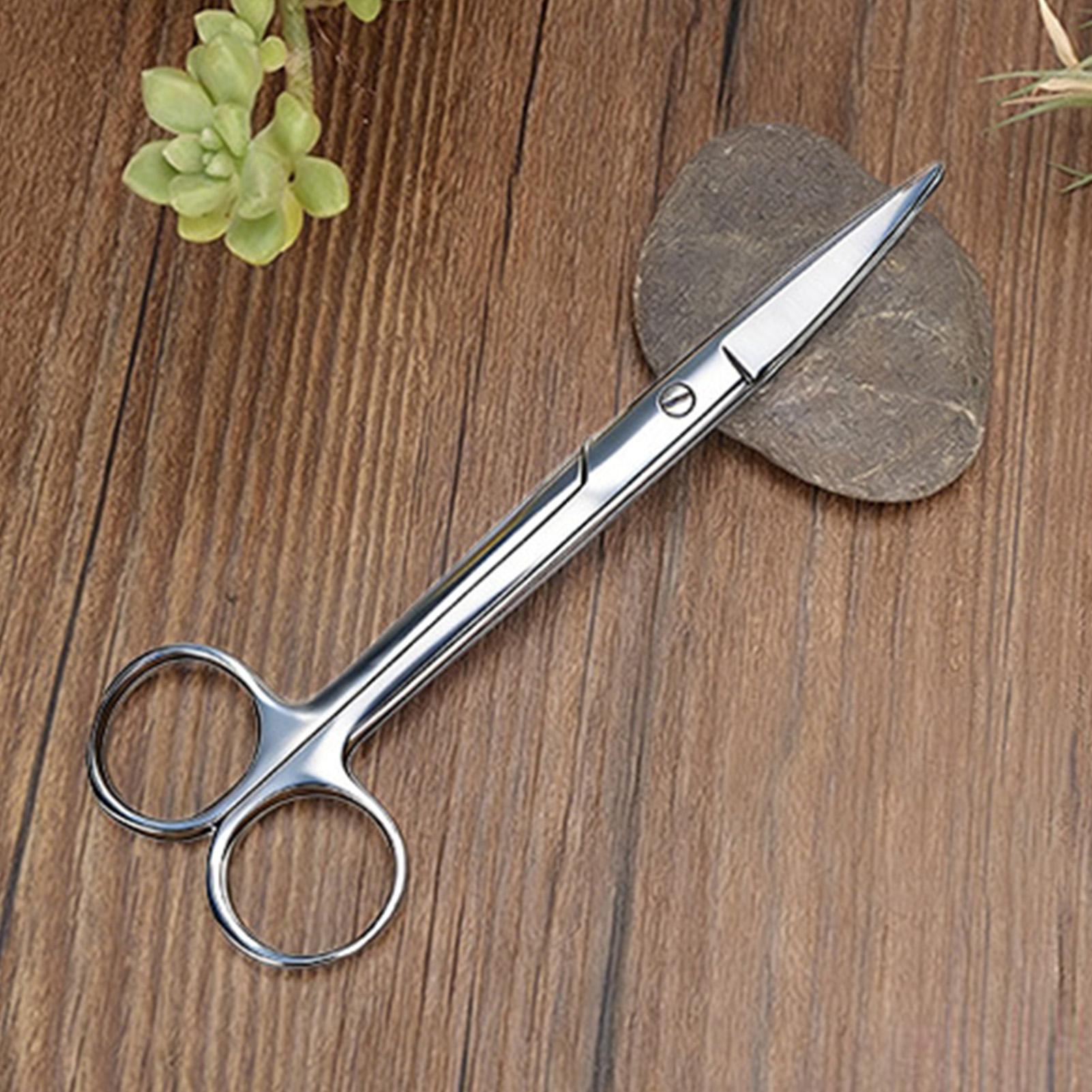 Pruning Shears - Gunting Tanaman Baja Tahan Karat Ergonomis,