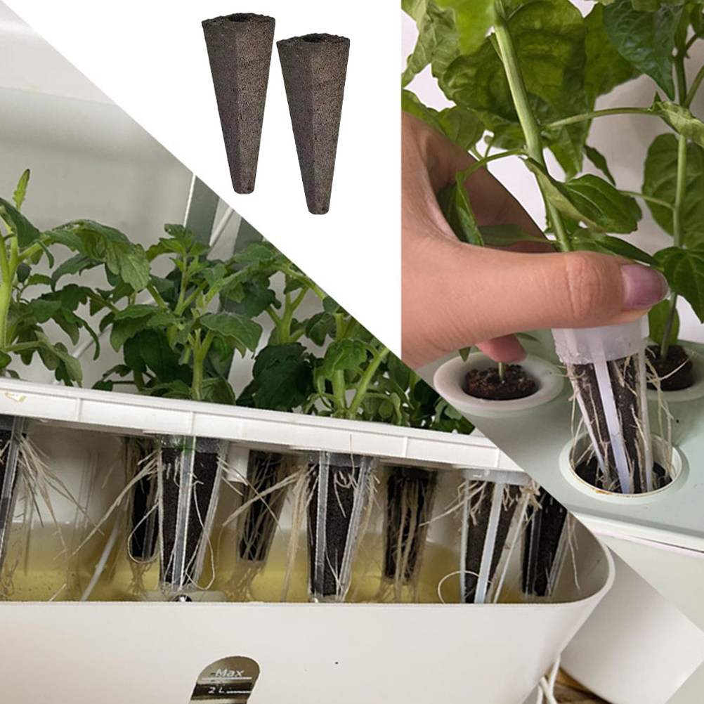 10 Buah Spons Tanam Tanpa Tana - Gardening Tools Vegetables ulasan dan harga