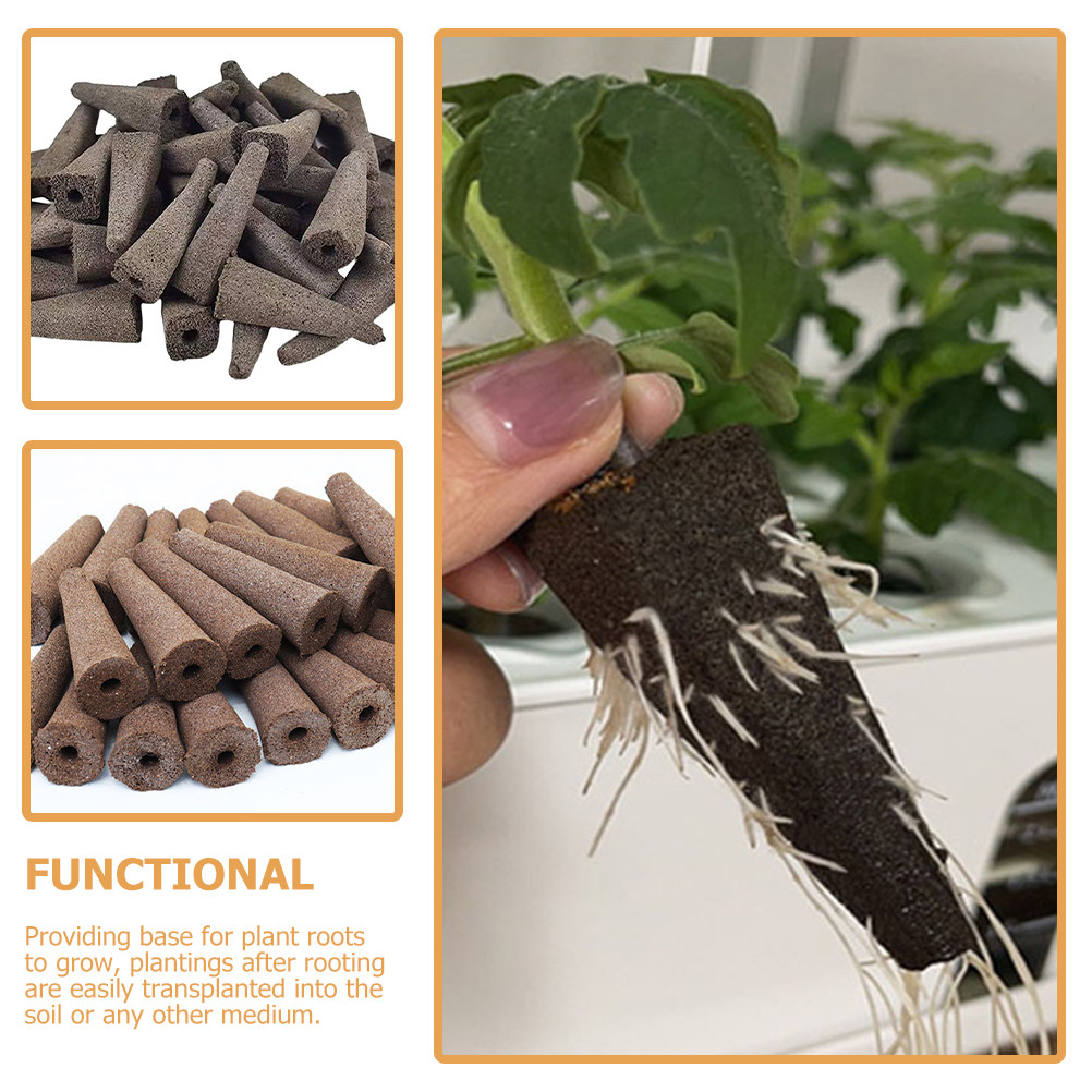 10 Buah Spons Tanam Tanpa Tana - Gardening Tools Vegetables ulasan dan harga