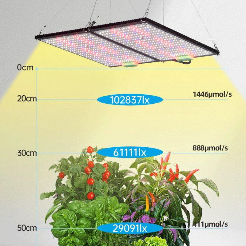 Lampu LED Quantum-Board untuk  - Led Grow Light ulasan dan harga