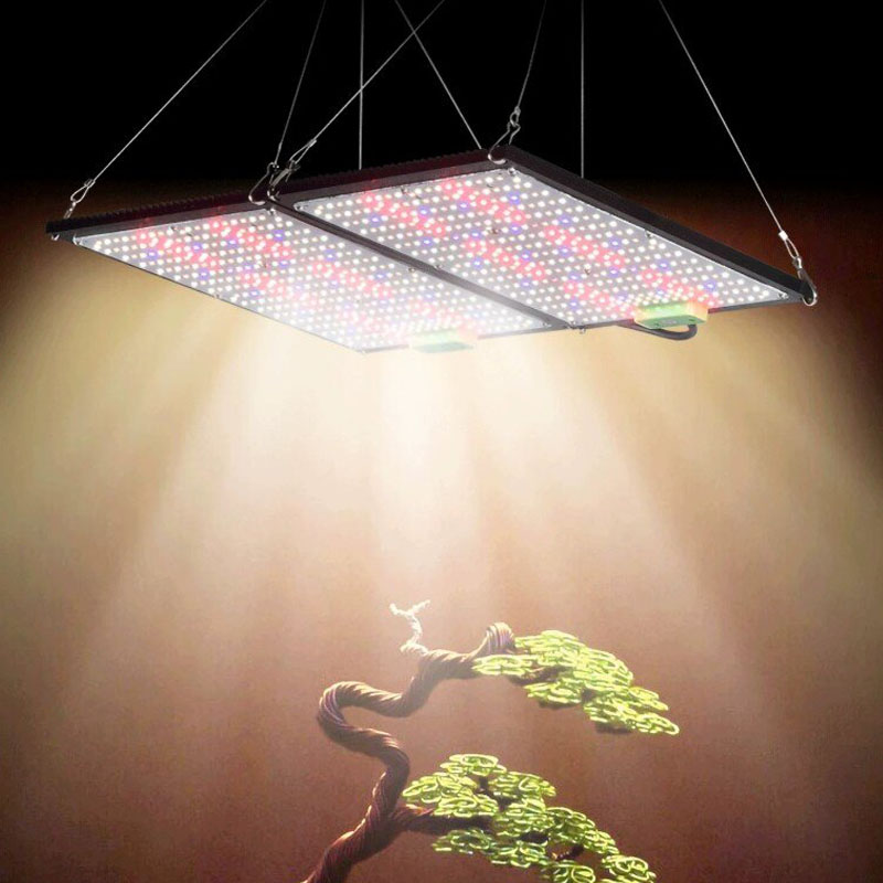 Lampu LED Quantum-Board untuk  - Led Grow Light ulasan dan harga