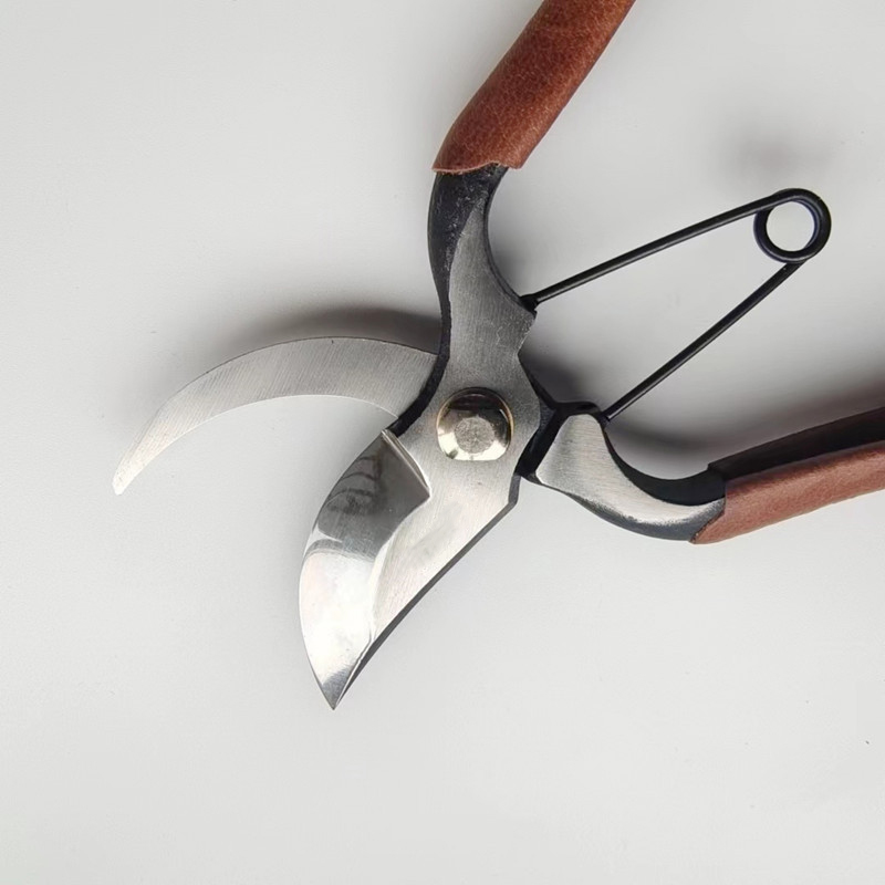 Gunting Pangkas Portabel Profe - Gardening Tools Japanese ulasan dan harga