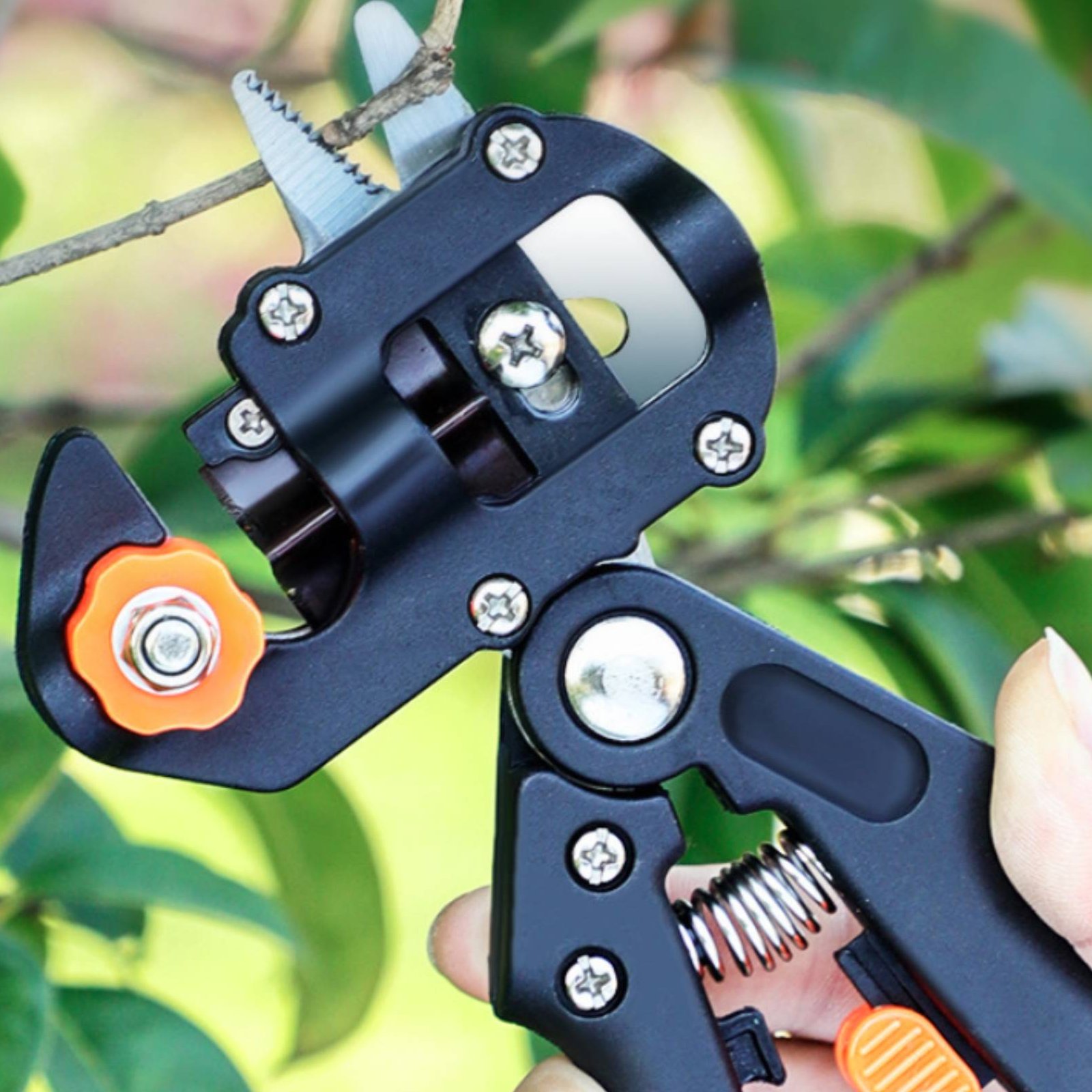 Gunting Pemangkasan dan Penyam - Pruning Shears ulasan dan harga