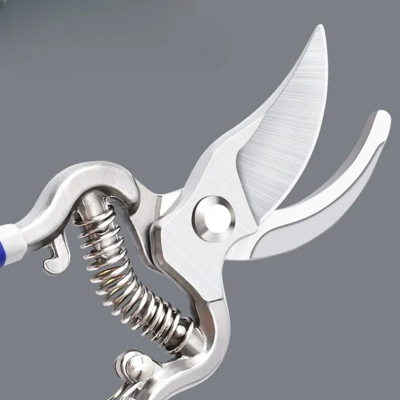 Gunting Pangkas Profesional -  - Gardening Tools Japanese ulasan dan harga