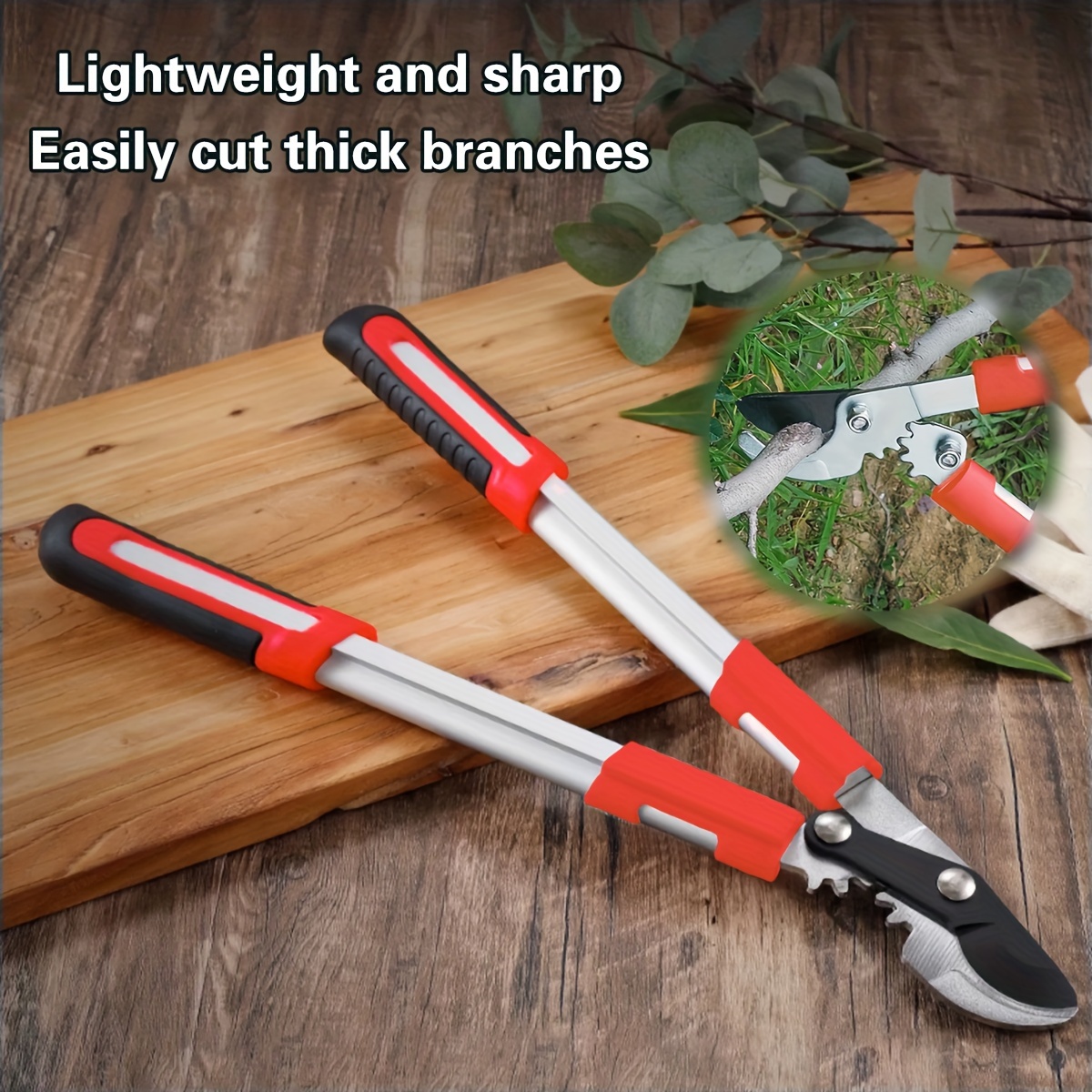 Gunting Pangkas Tugas Berat Ba - Pruning Shears ulasan dan harga