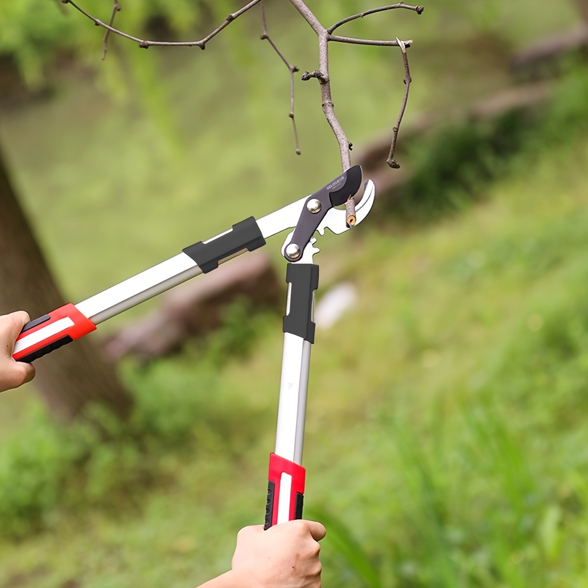 Gunting Pangkas Tugas Berat Ba - Pruning Shears ulasan dan harga