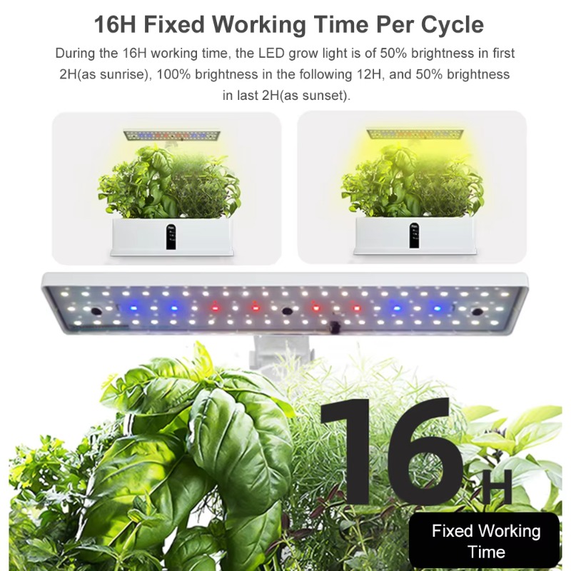 Sistem Penanaman Hidroponik Pi - Led Grow Light ulasan dan harga