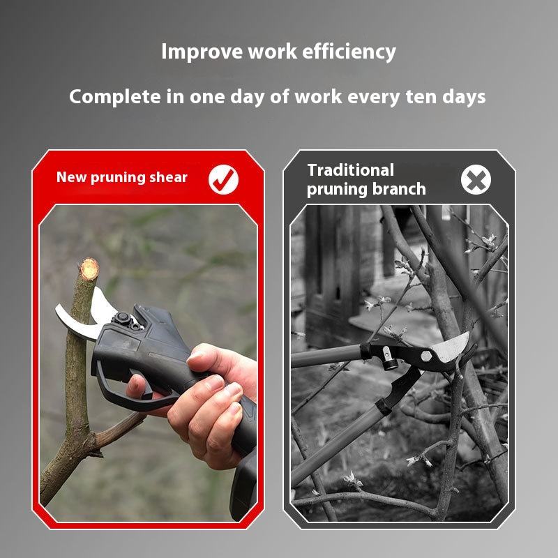 Gunting Pangkas Taman Listrik  - Pruning Shears ulasan dan harga