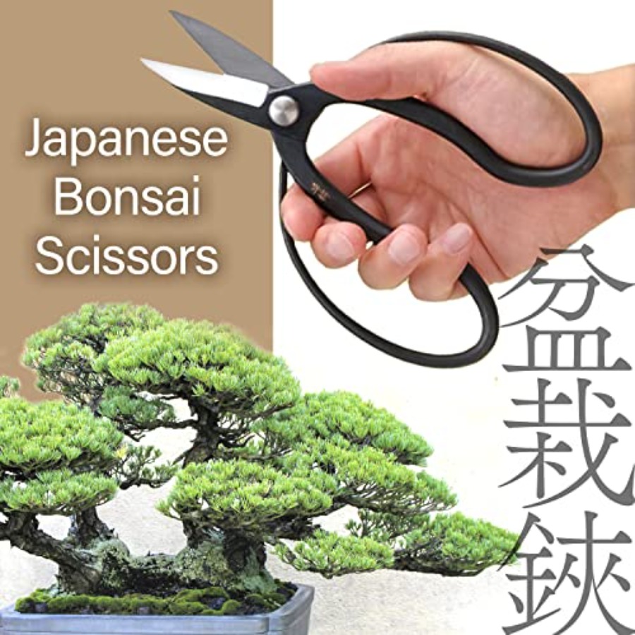 Gunting Bonsai Suiryu Jepang - - Gardening Tools Made In Japan ulasan dan harga