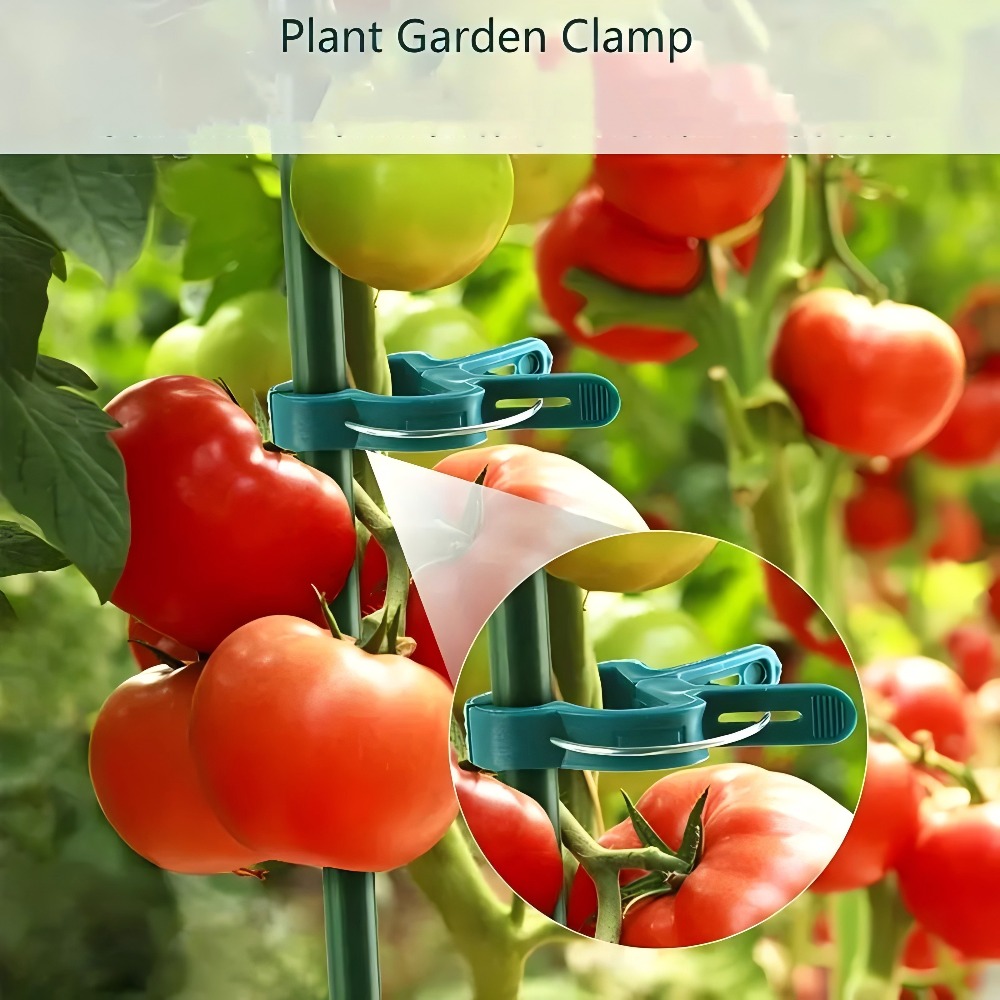 10/30/50 Buah Klip Tanaman Yan - Gardening Tools Essential ulasan dan harga