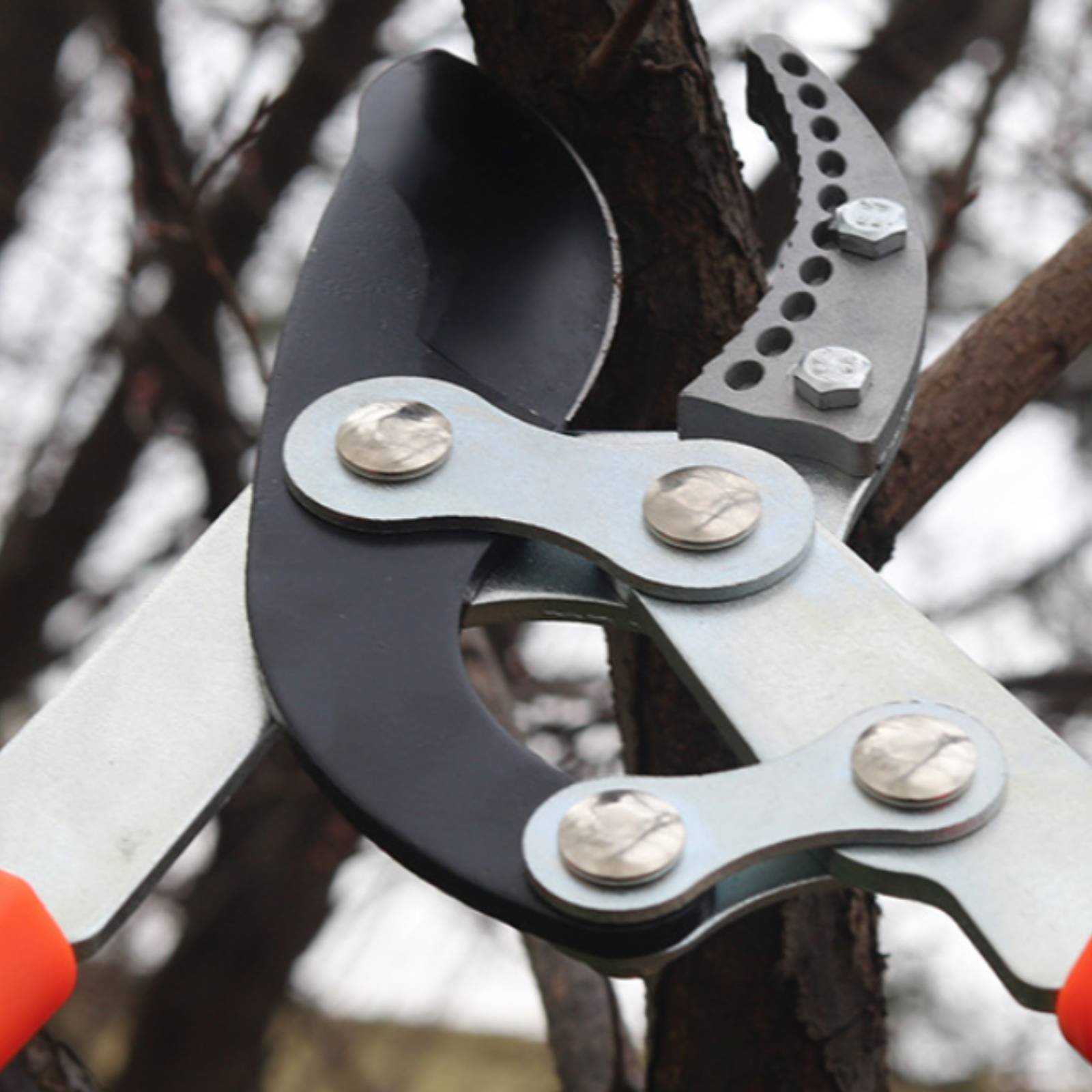 Pemangkas Cabang Teleskopik Pi - Pruning Shears ulasan dan harga