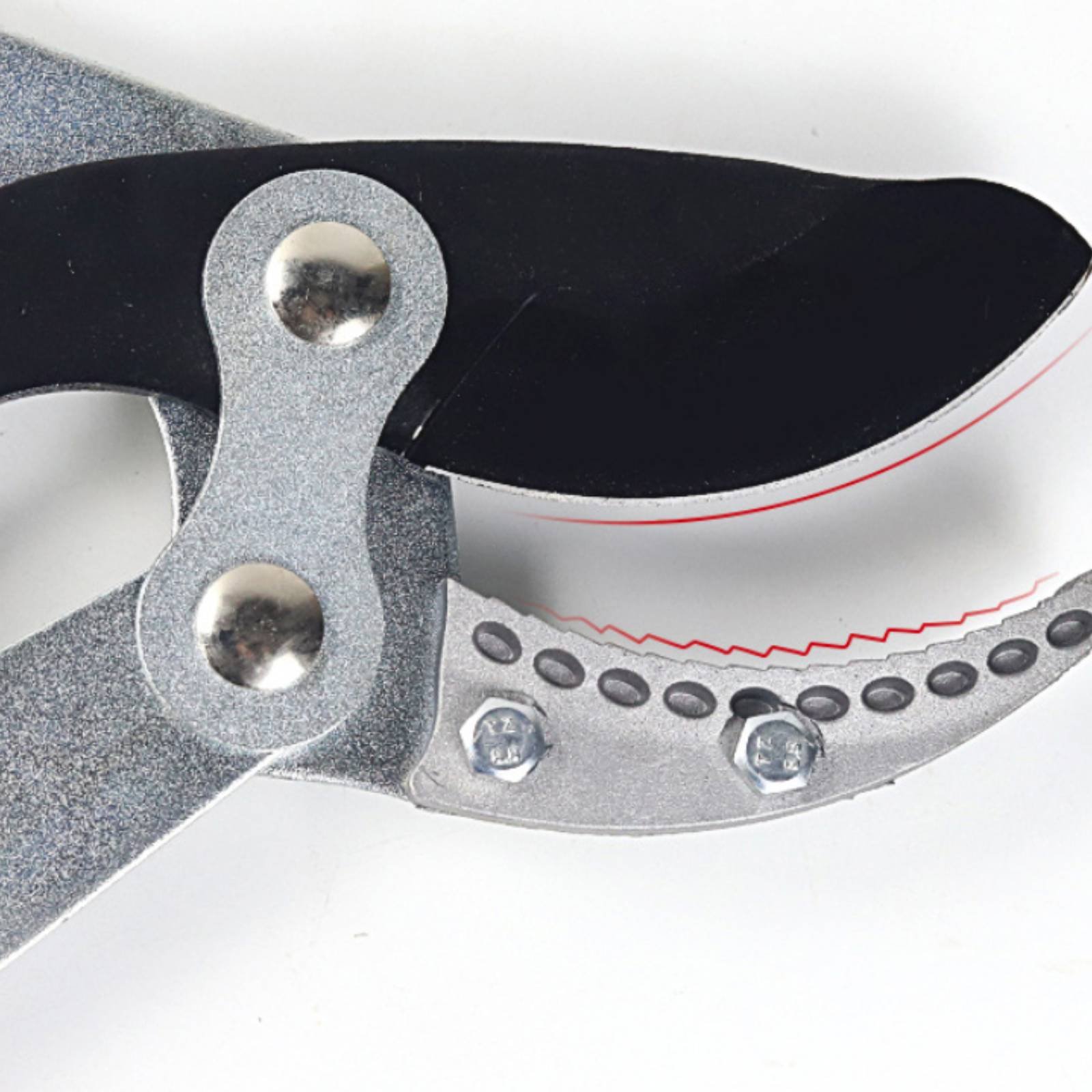 Pemangkas Cabang Teleskopik Pi - Pruning Shears ulasan dan harga