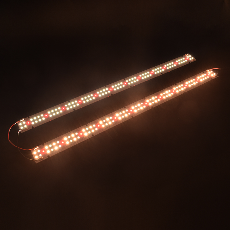 Lampu Tumbuh LED COB Berkualit - Led Grow Light ulasan dan harga