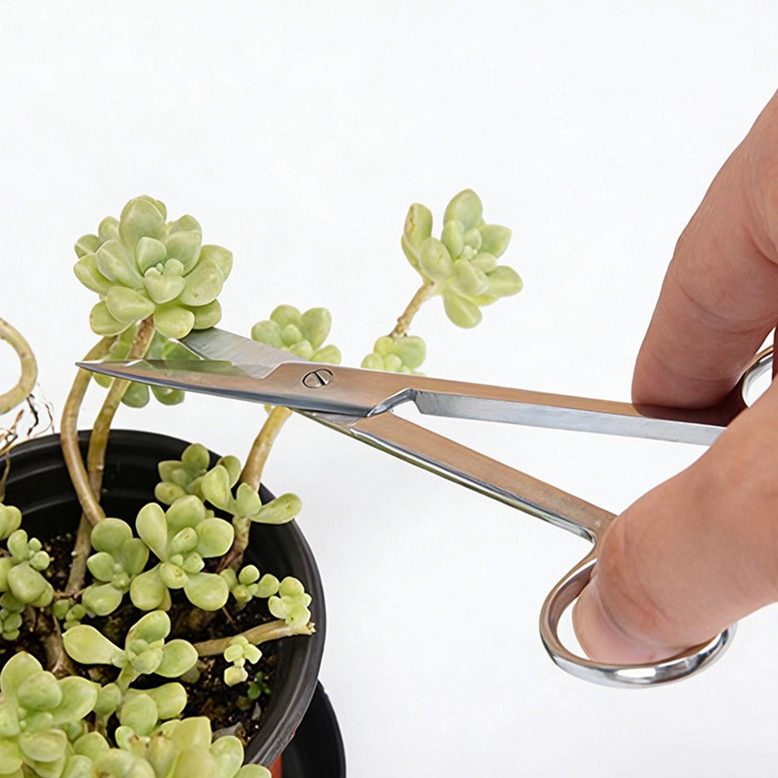 Gunting Tanaman Baja Tahan Kar - Pruning Shears ulasan dan harga