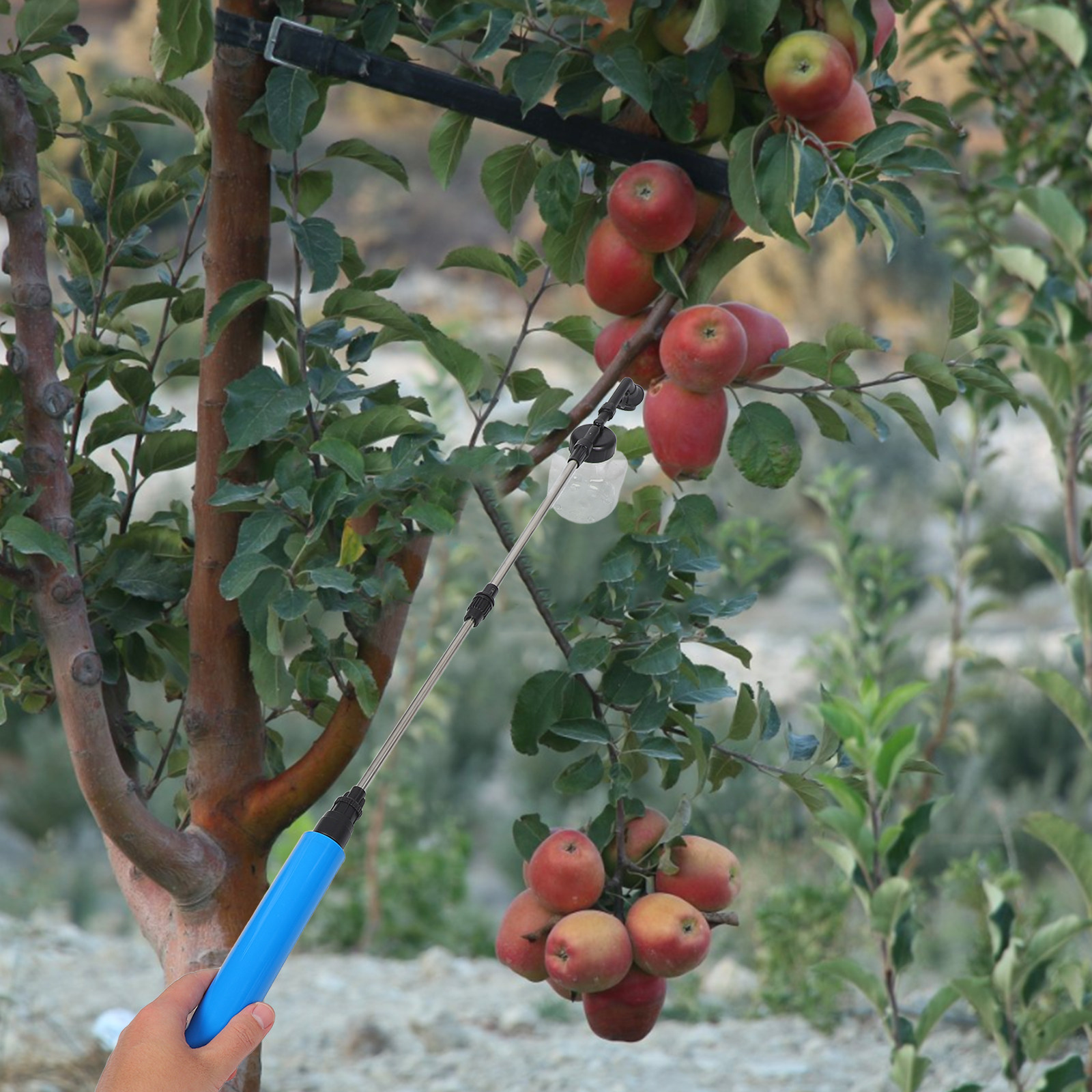 Alat Penyemprot Penyerbukan Ma - Gardening Tools Vegetables ulasan dan harga