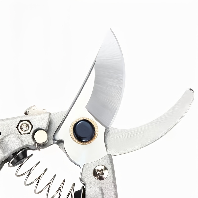 1 Buah Gunting Pemangkas Hemat - Pruning Shears ulasan dan harga