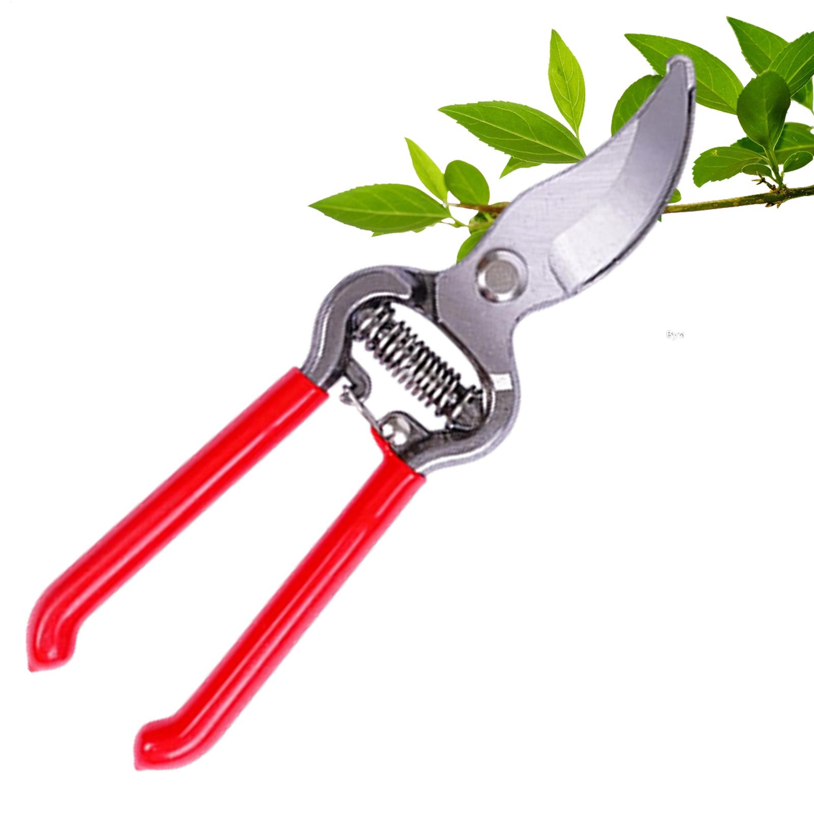 Gunting Tanaman Gunting Tangan - Pruning Shears ulasan dan harga
